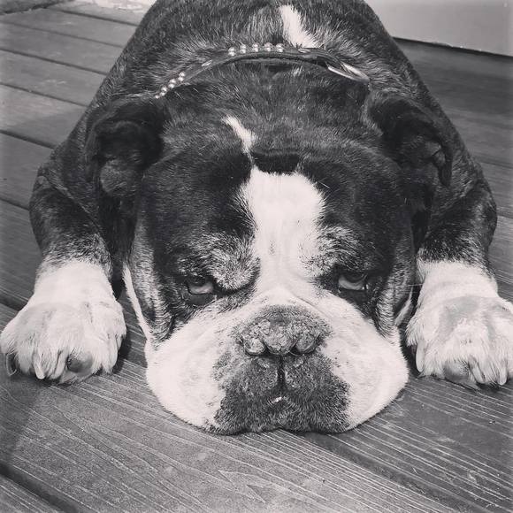 Meet your Posher, Sean - Picture 1 of 1